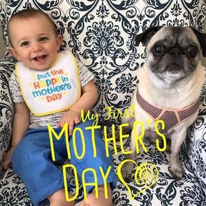 Meet your Posher, Laurie